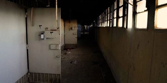 Hafızalardaki derin yara Sednaya Hapishanesi açılıyor