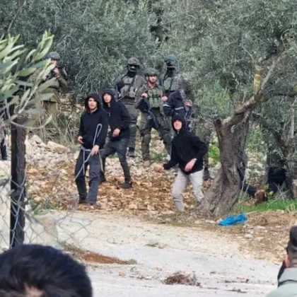 Batı Şeria'da yerleşimci şiddeti: Bin ağaç söküldü