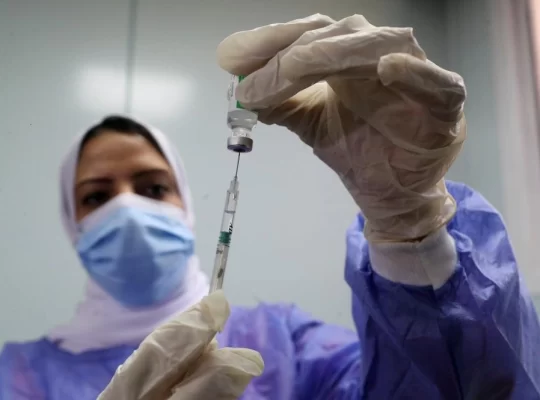 DSÖ’den hantavirüs açıklaması: Yeni bir salgın mı kapıda?