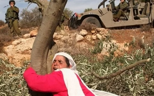 Beytüllahim’de Yeni İşgal: İsrail 300 Dönüme El Koydu