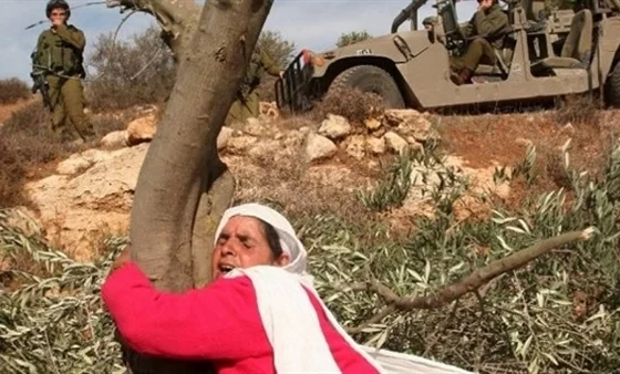 Beytüllahim’de Yeni İşgal: İsrail 300 Dönüme El Koydu