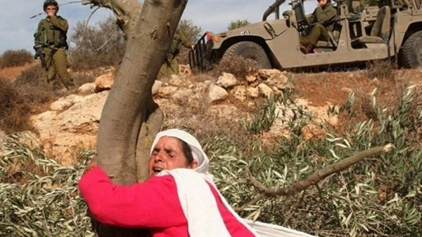 Beytüllahim’de Yeni İşgal: İsrail 300 Dönüme El Koydu