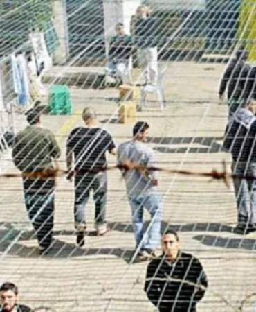 Filistinli esir kuruluşlarından Dünya Sağlık Örgütü'ne "acil müdahale" çağrısı
