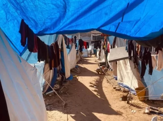 Gazze'de çadır dramı: Haşere istilası ve kavurucu sıcaklar