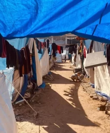 Gazze'de çadırlar cehenneme döndü: Şimdi de böcek istilası