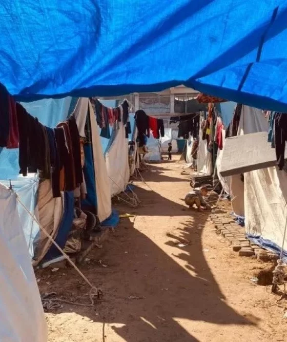 Gazze'de çadırlar cehenneme döndü: Şimdi de böcek istilası