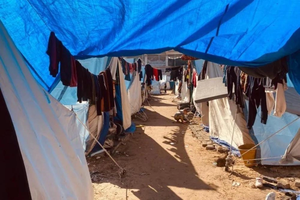 Gazze'de çadırlar cehenneme döndü: Şimdi de böcek istilası