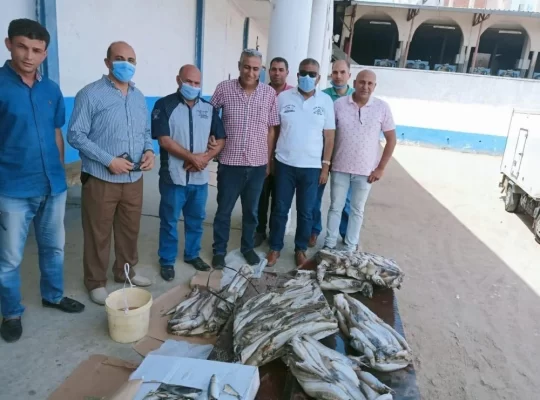 Han Yunus’ta 162 kilogram bozuk balık imha edildi