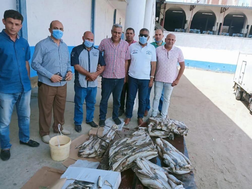 Han Yunus’ta 162 kilogram bozuk balık imha edildi