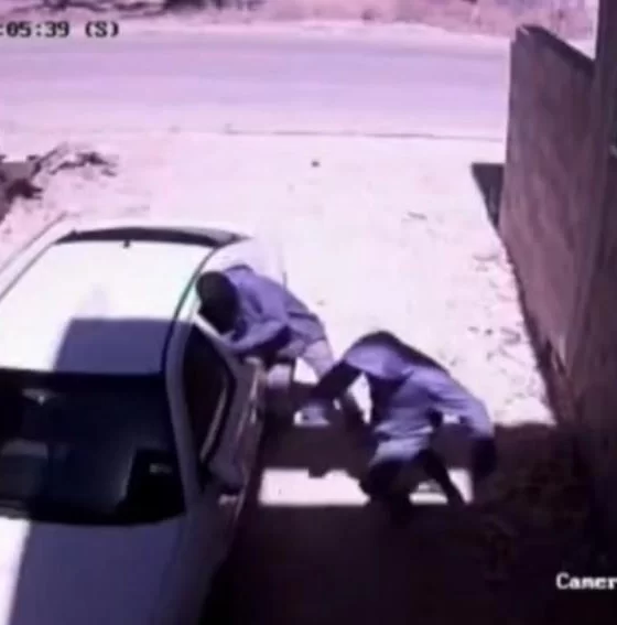Nablus’ta yerleşimci şiddeti: 4 yaralı, yağma ve tarım arazilerine saldırı