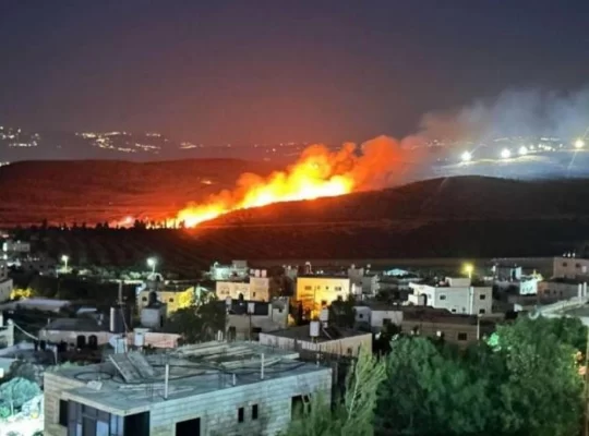 Ramallah'ta yerleşimciler tarım arazilerini ateşe verdi