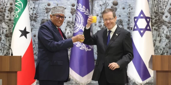 Mısır neden Etiyopya'nın Somali'deki planını reddetti?