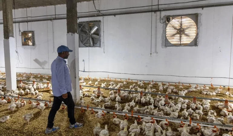 Sıcak hava dalgası vurdu: Tunus'ta elektrik krizi büyüyor