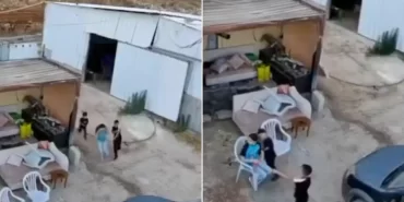 Yerleşimci şiddeti kamerada: İşgal altındaki Batı Şeria’da çocuğa silahlı saldırı