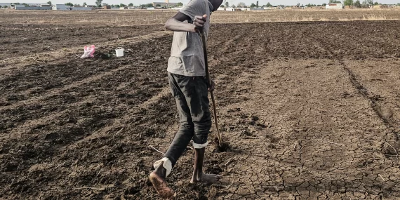 Darfur'da kurşunsuz savaş: Kuraklık ve açlık kapıya dayandı