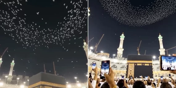 Kabe üzerindeki kuş sürüleri: Viral videonun aslı ne çıktı