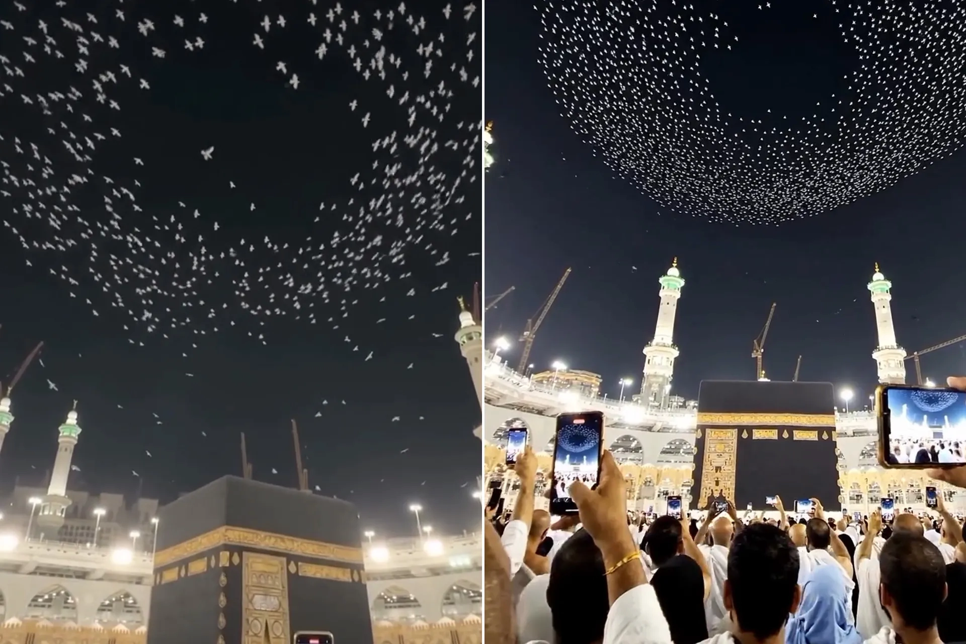 Kabe üzerindeki kuş sürüleri: Viral videonun aslı ne çıktı