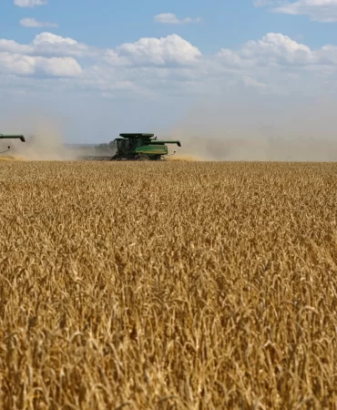 Karadeniz krizi derinleşti: Arap sofralarında ekmek alarmı