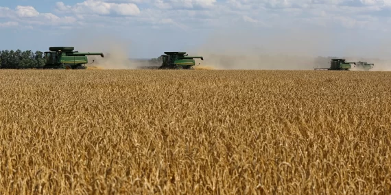 Karadeniz krizi derinleşti: Arap sofralarında ekmek alarmı