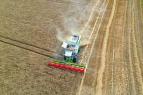 Karadeniz tıkandı, rekolte çöktü: Buğday fiyatları uçuşa geçti