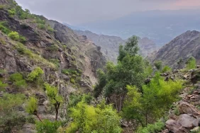 Taiz'de kritik Şakab cephesi: Hayat ile ölüm arasındaki hat