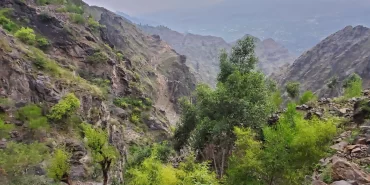 Taiz'de kritik Şakab cephesi: Hayat ile ölüm arasındaki hat