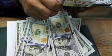 Mısır lirası neden çöktü? Dolar 56 seviyesini görerek rekor kırdı!