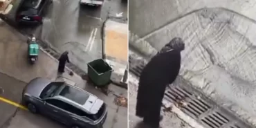 Yalova'da sel felaketine bastonuyla direnen teyze gündem oldu!